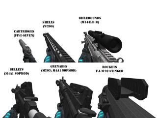 Snoutx10k Tactical Hudguns